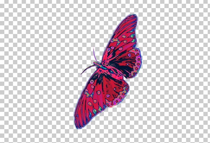 Brush-footed Butterflies Butterfly Insect Moth PNG, Clipart, Aesthetics, Arthropod, Bee, Brush Footed Butterfly, Butterfly Free PNG Download