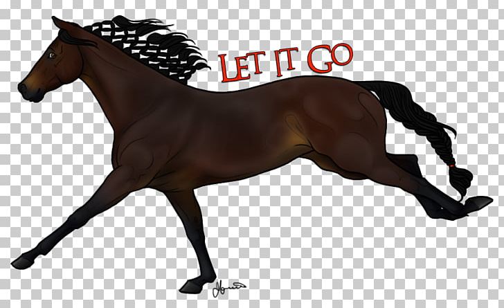 Mustang Foal Hunt Seat Stallion Mare PNG, Clipart, Bit, Bridle, Colt, English Riding, Equestrian Free PNG Download