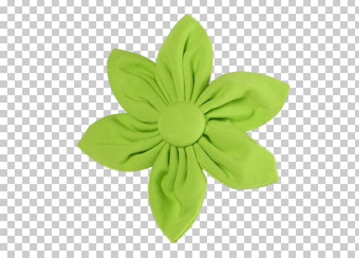 Petal Green Flower Clothing PNG, Clipart, Clothing, Flower, Green, Nature, Petal Free PNG Download