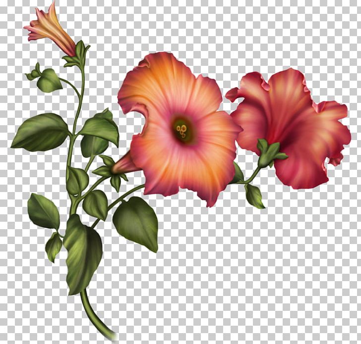 Cut Flowers Floral Design Hibiscus Flower Bouquet PNG, Clipart, Annual Plant, Color, Cut , Floristry, Flower Free PNG Download