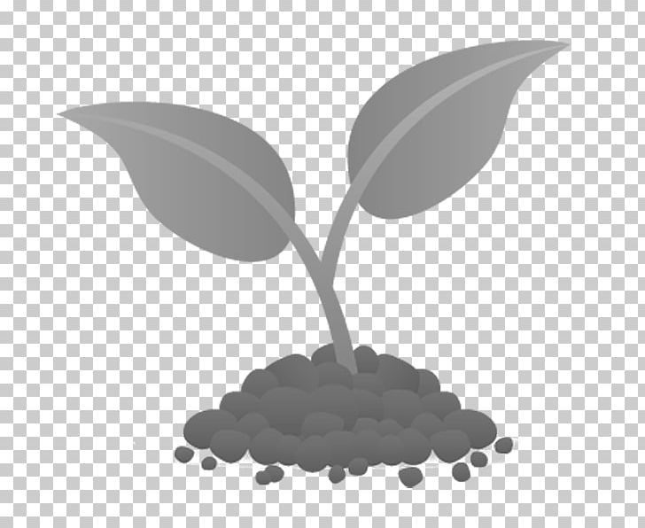 Plant Soil Seed Agriculture Leaf PNG, Clipart, Agriculture, Black And White, Common Milkweed, Computer Icons, Food Drinks Free PNG Download