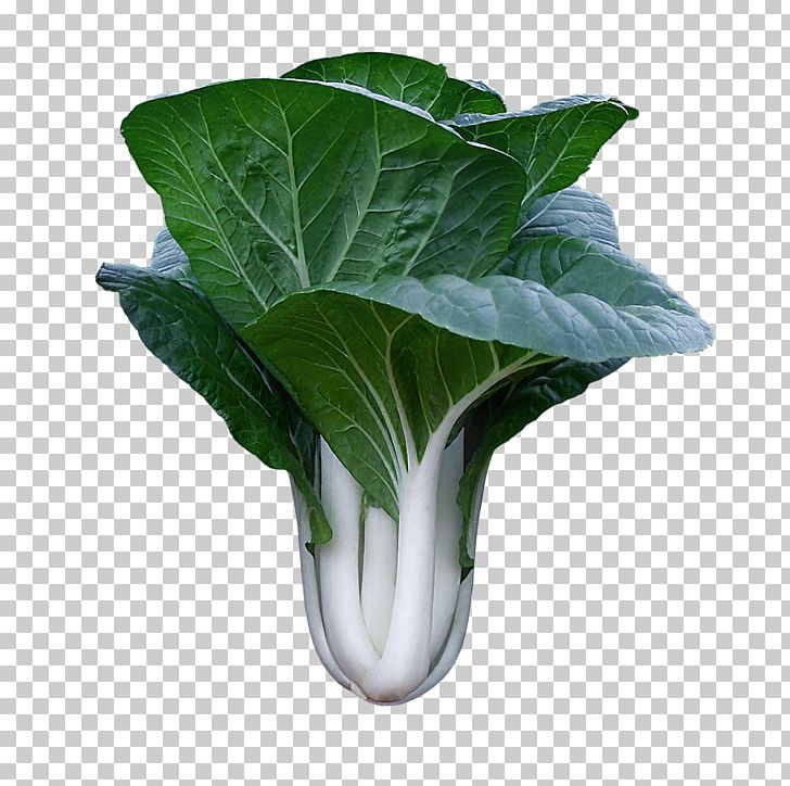 Chard Spring Greens Komatsuna Choy Sum Leaf Vegetable PNG, Clipart, Bitter Melon, Bok Choy, Cabbage, Chard, Choy Sum Free PNG Download