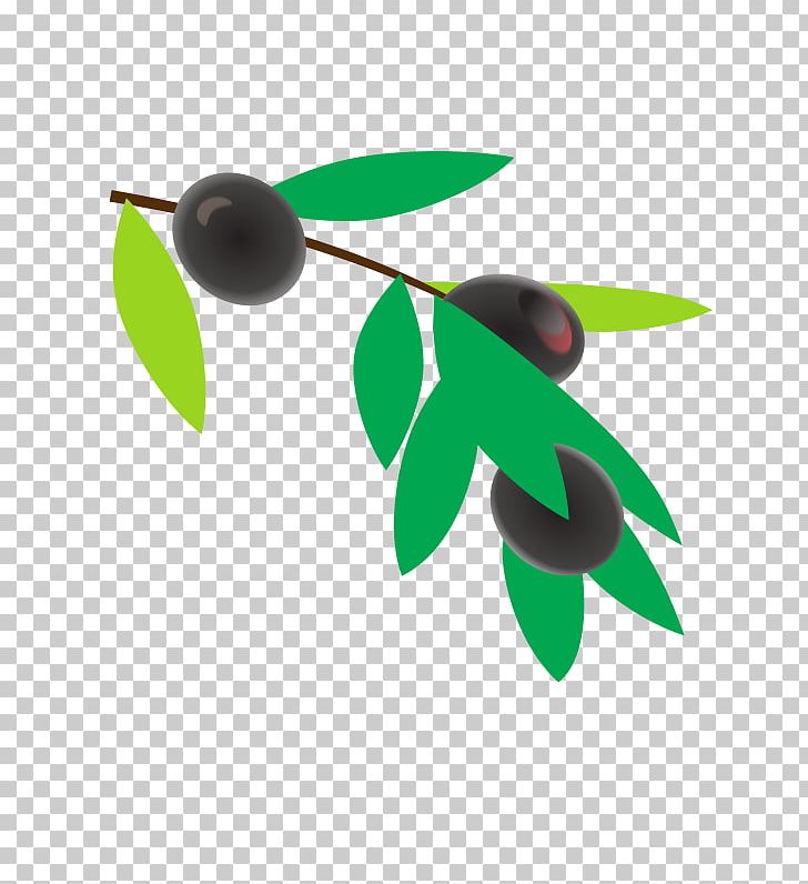 Coffee Coffea Plant PNG, Clipart, Branch, Coffea, Coffee, Coffee Bean, Computer Icons Free PNG Download