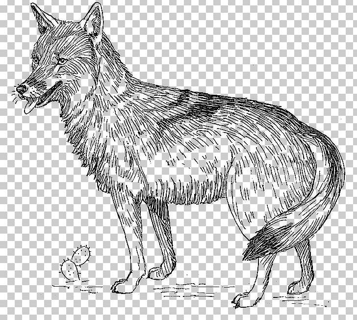 Coyote PNG, Clipart, Artwork, Black And White, Carnivoran, Clip Art, Coyote Free PNG Download
