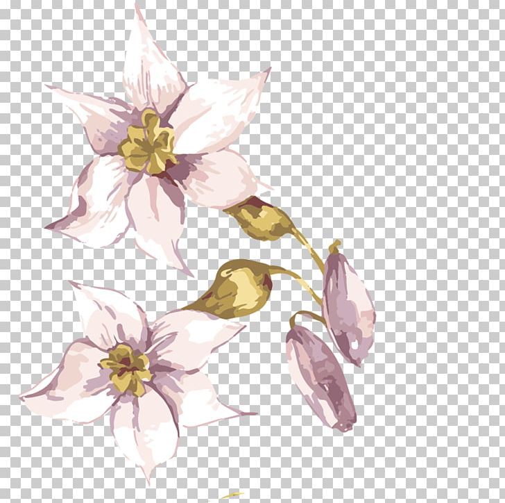 Adobe Illustrator Flower PNG, Clipart, Artwork, Branch, Effect, Encapsulated Postscript, Flowers Free PNG Download