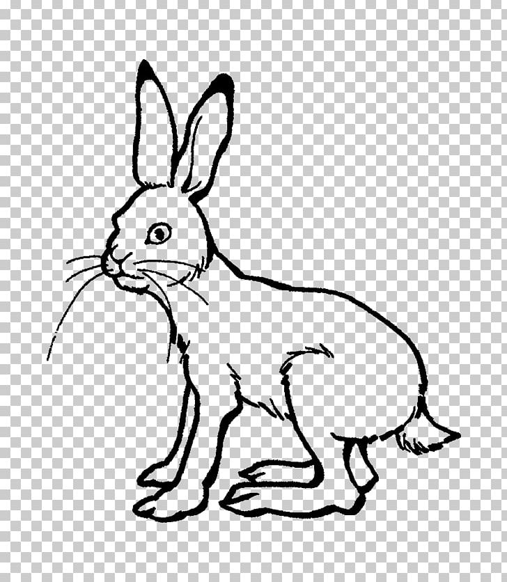 Arctic Hare The Tortoise And The Hare European Hare European Rabbit Drawing PNG, Clipart, Animals, Ausmalbild, Black And White, Carnivoran, Child Free PNG Download
