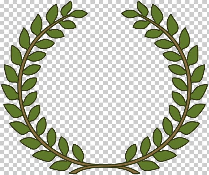Bay Laurel Laurel Wreath Olive Wreath PNG, Clipart, Bay Laurel, Branch, Clip Art, Crown, Flower Free PNG Download