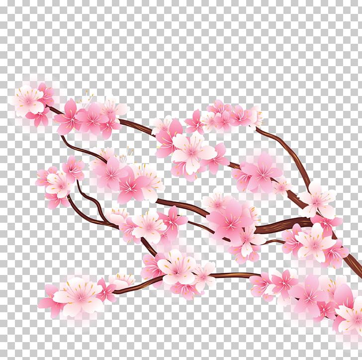 Cherry Blossom Branch PNG, Clipart, Blossom, Branch, Cherry, Cherry Blossom, Decorative Background Free PNG Download
