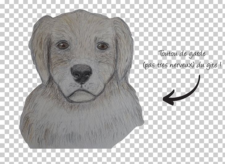 Dog Breed Le Mourtis Puppy Sporting Group PNG, Clipart, Animals, Carnivoran, Dog, Dog Breed, Dog Like Mammal Free PNG Download
