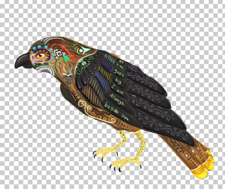 Beak Parrot Bird Of Prey Feather PNG, Clipart, Animals, Beak, Bird, Bird Of Prey, Fauna Free PNG Download
