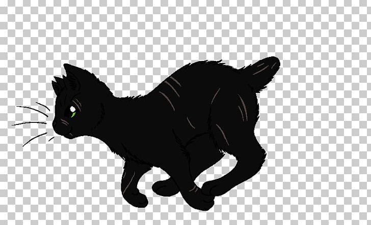 Cat Warriors Wikia PNG, Clipart, Animals, Black, Black Cat, Bom, Carnivoran Free PNG Download