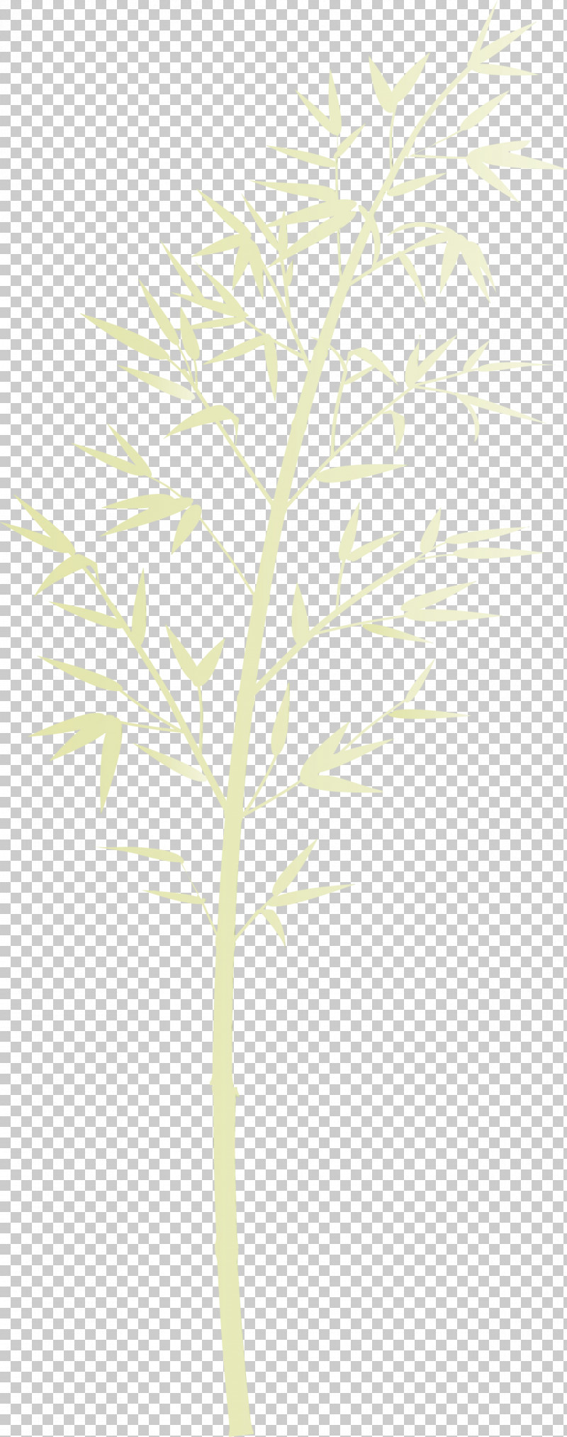 Leaf Plant Tree Plant Stem Twig PNG, Clipart, Bamboo, Branch, Flower, Grass, Leaf Free PNG Download