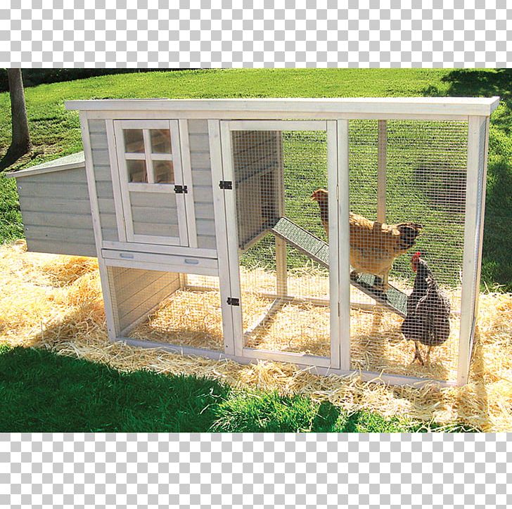 Chicken Coop Chicken Tractor Chickens As Pets Building PNG, Clipart, Agriculture, Animals, Backyard, Building, Chicken Free PNG Download