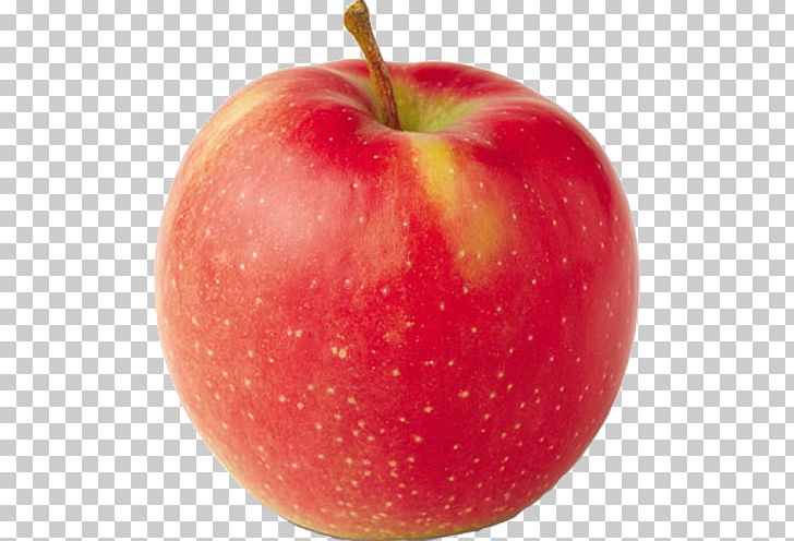 Jonagold Apple Orchard Cortland Crisp PNG, Clipart, Accessory Fruit, Apple, Apples, Cortland, Crisp Free PNG Download