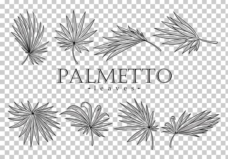 Leaf PNG, Clipart, Area, Arecaceae, Arecales, Artwork, Black And White Free PNG Download