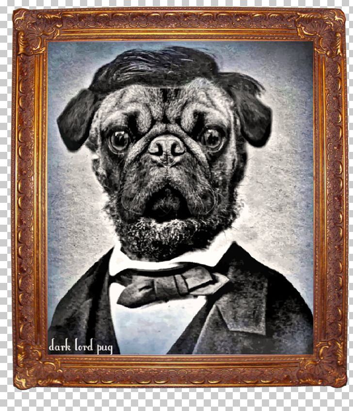 Pug Dog Breed Mill Creek Toy Dog Frames PNG, Clipart, Abraham, Abraham Lincoln, Americas, Breed, Carnivoran Free PNG Download
