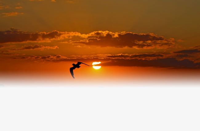 Sunset And Geese PNG, Clipart, Clouds, Dusk, Geese, Geese Clipart, Sky Free PNG Download