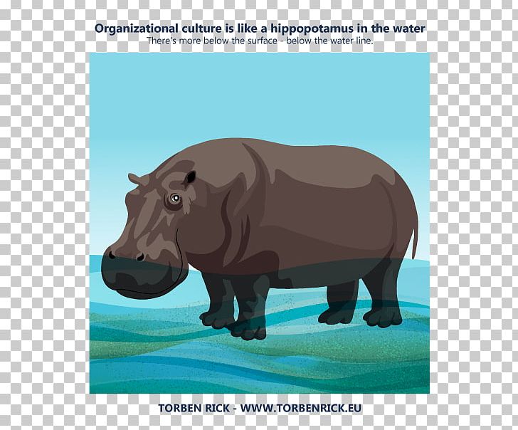 Hippopotamus Rhinoceros Cat Terrestrial Animal Organizational Culture PNG, Clipart, Animal, Business, Cat, Cattle Like Mammal, Culture Free PNG Download