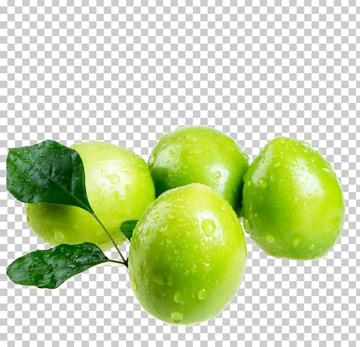 Taiwan Indian Jujube Dongzao Fruit PNG, Clipart, Auglis, Blood Drop, Calamondin, Citric Acid, Citron Free PNG Download