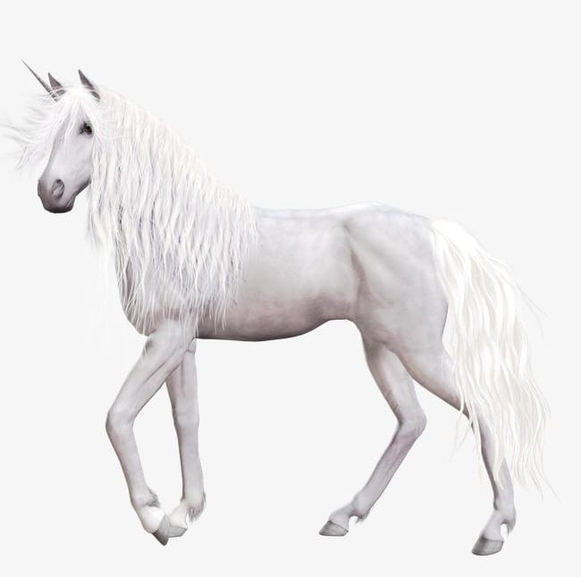 Unicorn PNG, Clipart, Animal, Decoration, Pegasus, Png, Unicorn Free PNG Download