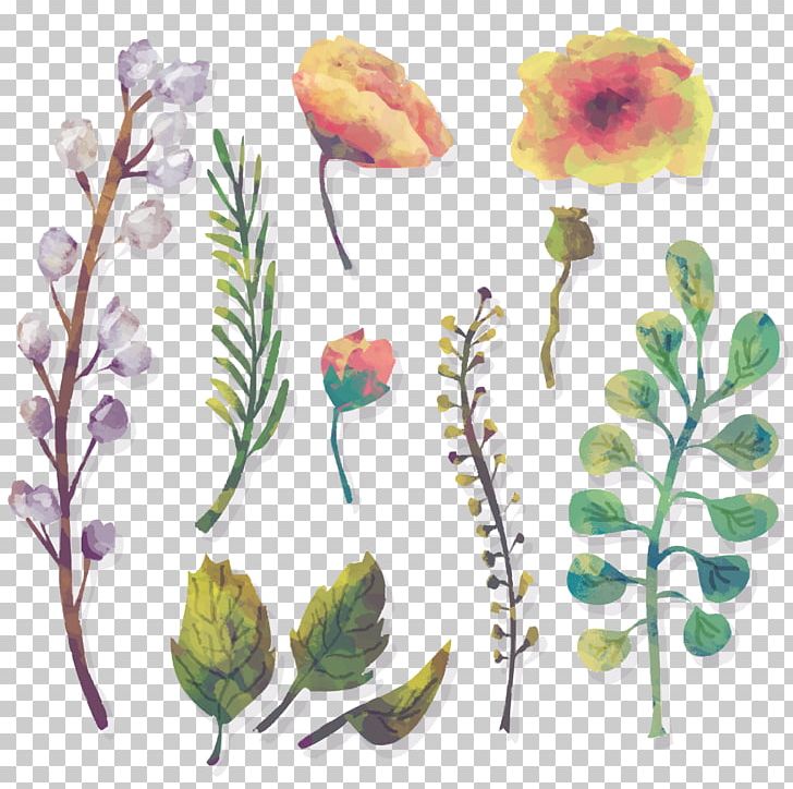 Watercolor: Flowers Watercolour Flowers Watercolor Painting PNG, Clipart, Color, Colored Vector, Color Splash, Cut Flowers, Flora Free PNG Download