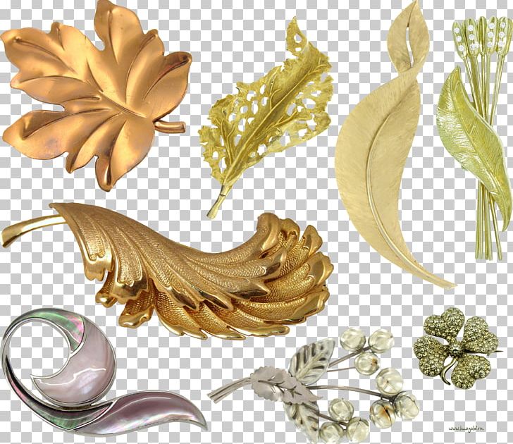 Brooch Leaf Украшение PNG, Clipart, Body Jewelry, Brass, Brooch, Fashion Accessory, Insect Free PNG Download