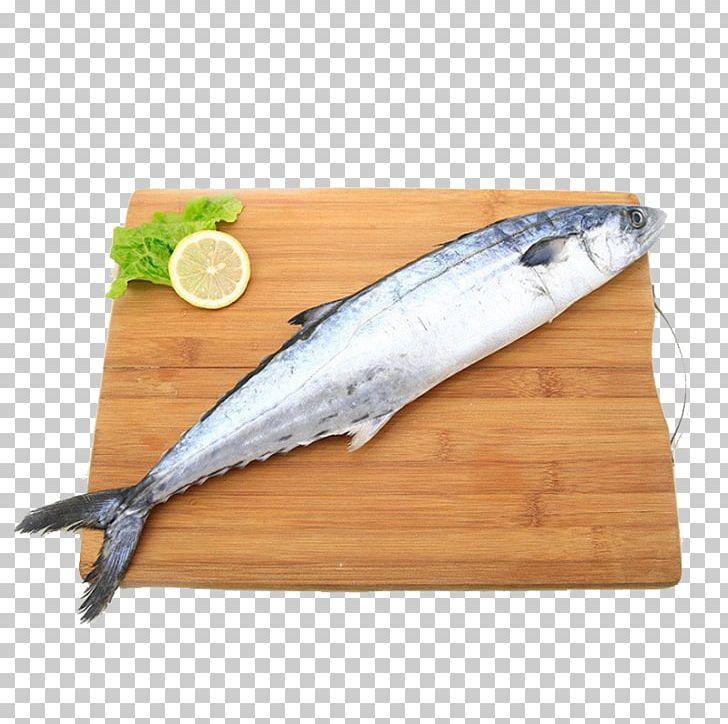 China Seafood Sashimi Mackerel Frozen Film Series PNG, Clipart, Animal Source Foods, Atlantic Mackerel, Atlantic Spanish Mackerel, Cartoon, Domestic Free PNG Download