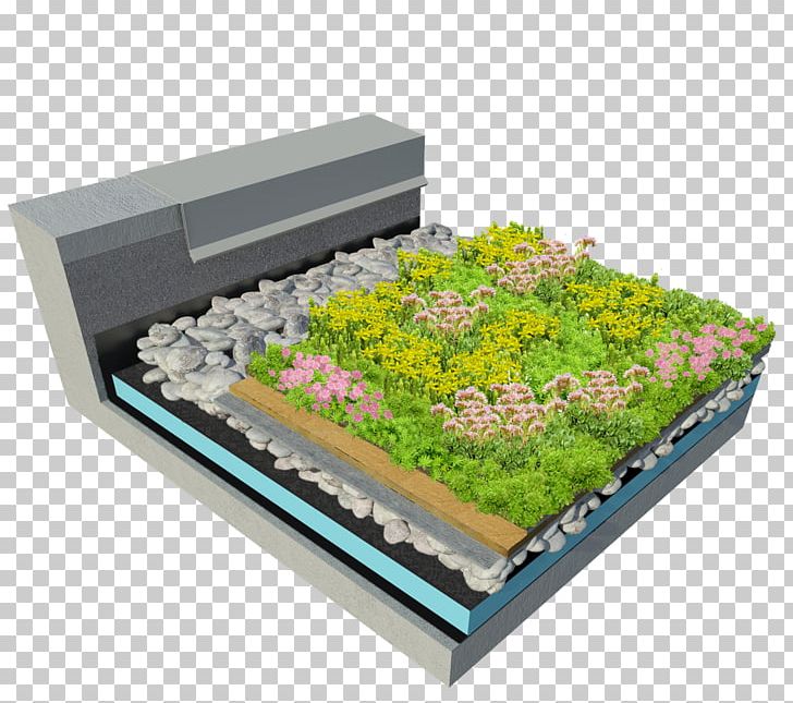 Green Roof Stonecrop American Hydrotech PNG, Clipart, American Hydrotech Inc, Flower, Flowerpot, Green Roof, Ideal Solution Free PNG Download