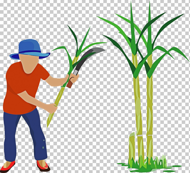 Pongal PNG, Clipart, Behavior, Cartoon, Commodity, Family, Grasses Free PNG Download