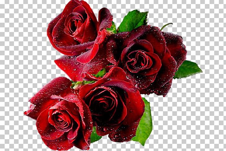Animaatio Animation Rose PNG, Clipart, 3d Computer Graphics, Animaatio, Animation, Cartoon, Cut Flowers Free PNG Download