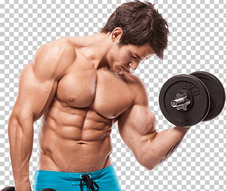 Physical Fitness Weight Training Fitness Centre Exercise Bodybuilding PNG, Clipart, Abdomen, Arm, Biceps Curl, Bodybuilder, Bodybuilding Free PNG Download
