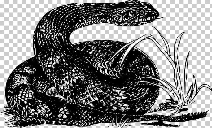 Rattlesnake Boa Constrictor Kingsnakes PNG, Clipart, Animals, Black And White, Boa Constrictor, Boas, Cobra Free PNG Download