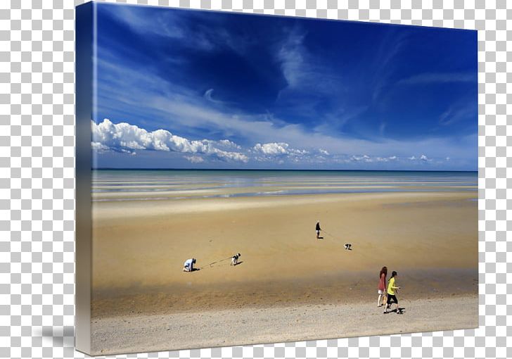 Shore Sea Gallery Wrap Frames Art PNG, Clipart, Art, Beach, Canvas, Dog, Gallery Wrap Free PNG Download