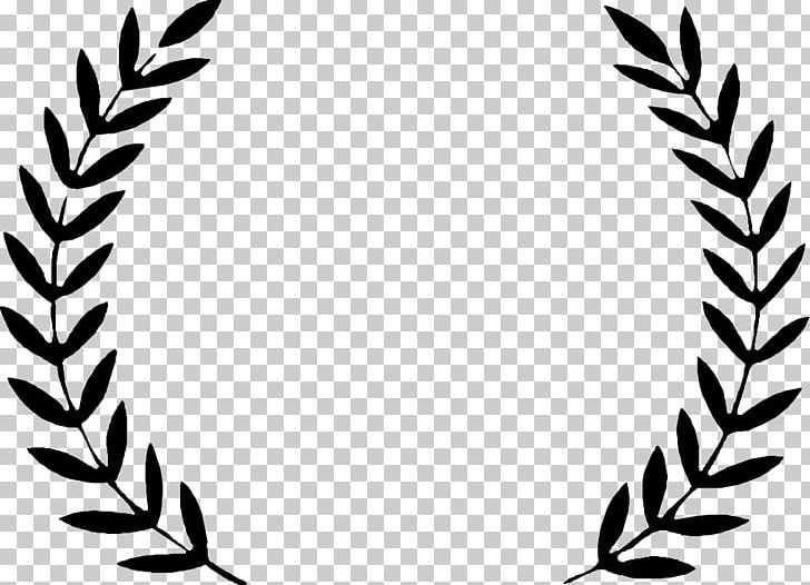 South By Southwest Film Festival Sundance Film Festival PNG, Clipart, Black And White, Cinema, Documentary Film, Festival, Film Free PNG Download