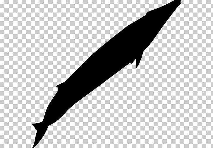 Dolphin The Blue Whale Cetacea Baleen Whale PNG, Clipart, Animal, Animals, Baleen Whale, Black And White, Blue Whale Free PNG Download