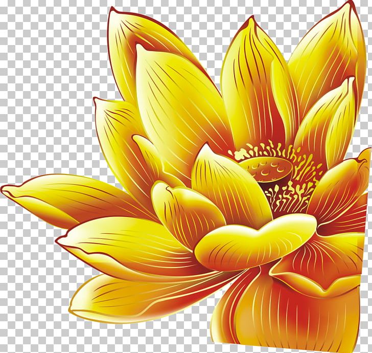 Nelumbo Nucifera Euclidean PNG, Clipart, Adobe Illustrator, Chrysanths, Closeup, Cut Flowers, Dahlia Free PNG Download