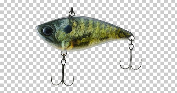 Plug Perch Fishing Baits & Lures Spoon Lure Spinnerbait PNG, Clipart, Bait, Bluegill, Bony Fish, Eye, Fish Free PNG Download