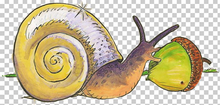 Snail Gastropods Slug Food Animal PNG, Clipart, Animal, Animals, Book, Cucurbita, Food Free PNG Download