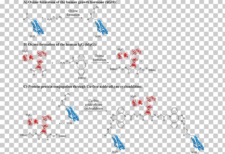 Aldehyde Tag Click Chemistry Protein Bioorthogonal Chemistry PNG, Clipart, Aldehyde, Aldehyde Tag, Antibody, Area, Azide Free PNG Download