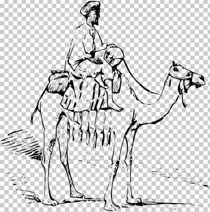 Bactrian Camel Dromedary Drawing PNG, Clipart, Animal, Animation, Arabian Camel, Art, Bactrian Camel Free PNG Download