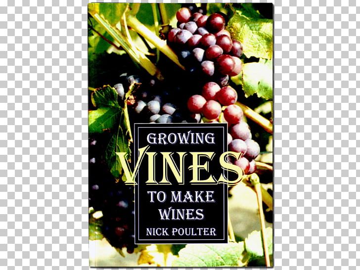 Common Grape Vine Growing Vines To Make Wines Dessert Wine PNG, Clipart, Advertising, Common Grape Vine, Dessert Wine, Distilled Beverage, Food Free PNG Download