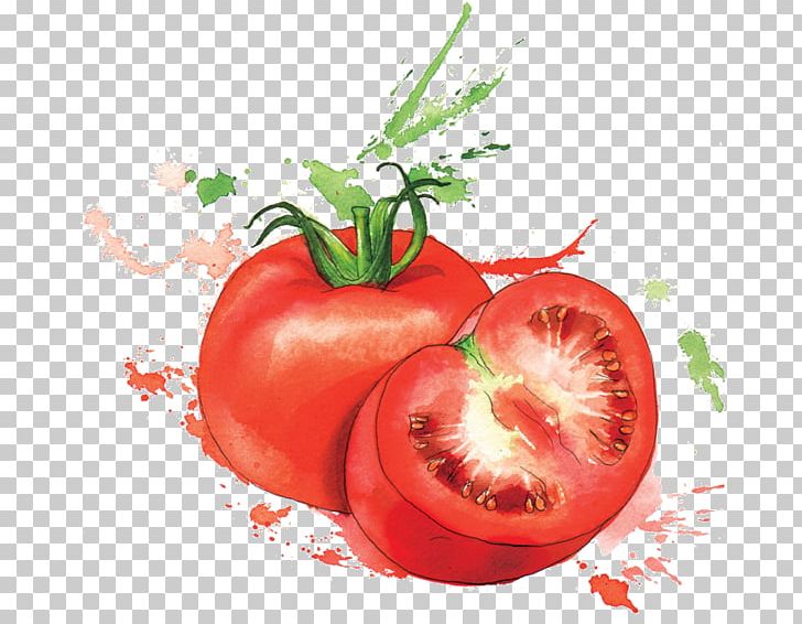 Organic Food Watercolor Painting Vegetable PNG, Clipart, Apple, Aquarel, Art, Bush Tomato, Diet Food Free PNG Download
