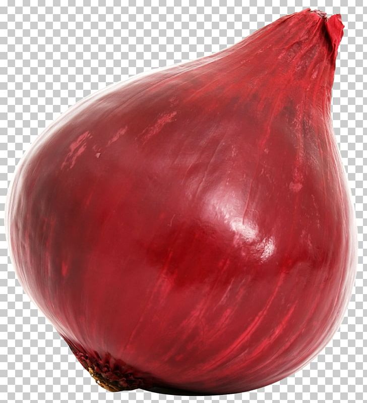 Red Onion Vegetable PNG, Clipart, Bulb, Bulb Onion, Computer Icons, Download, Encapsulated Postscript Free PNG Download