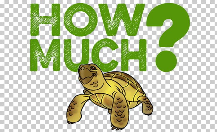 Russian Tortoise Turtle Reptile Pet PNG, Clipart, Animal Figure, Animals, Cost, Ducati Panigale, Fauna Free PNG Download