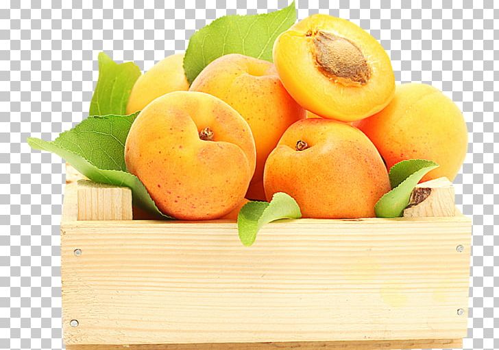Apricot Fruit Food Peach Berry PNG, Clipart, 4k Resolution, 8k Resolution, Citrus, Desktop Wallpaper, Dru Free PNG Download