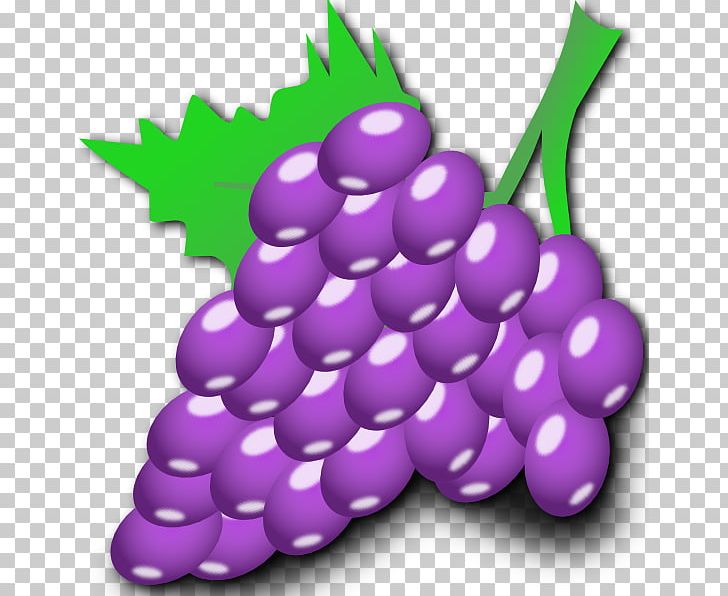 Common Grape Vine Cartoon PNG, Clipart, Animation, Cartoon, Cartoon Grapes, Common Grape Vine, Drawing Free PNG Download