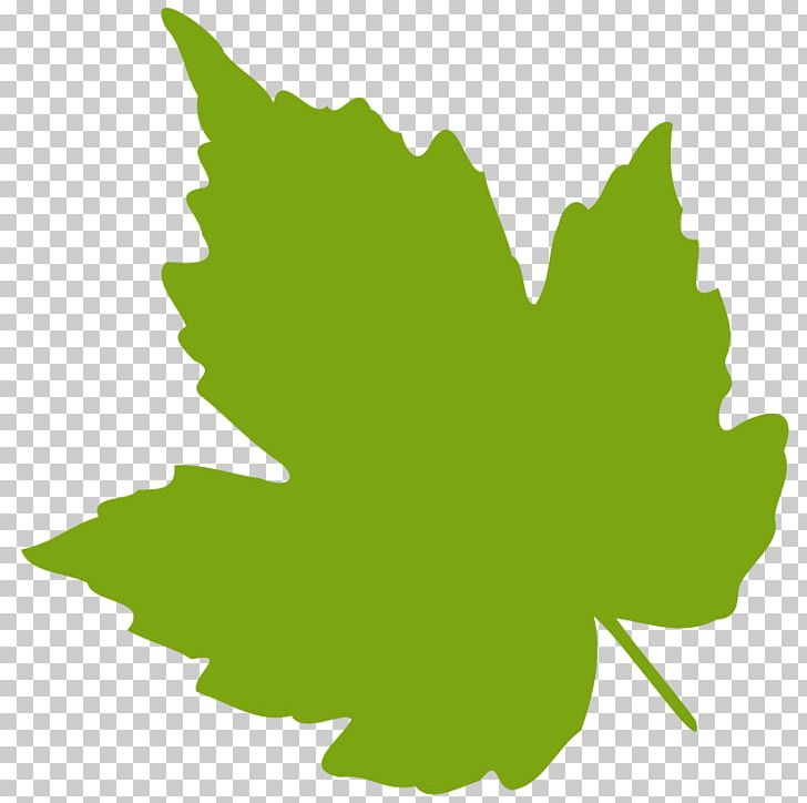 Grape Leaves Grapevines PNG, Clipart, Big Leaves Cliparts, Drawing, Flowering Plant, Free Content, Grape Free PNG Download