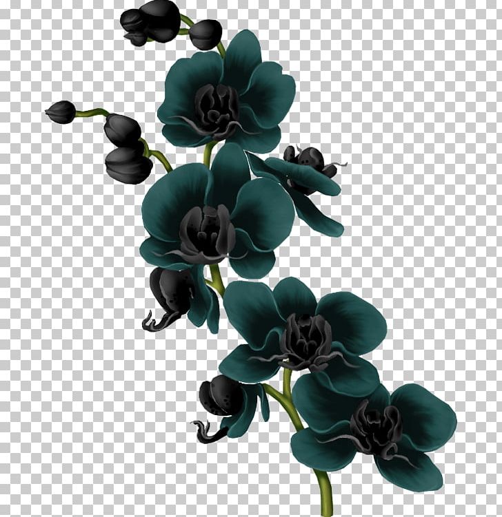 Moth Orchids Flower PNG, Clipart, Art, Artificial Flower, Cut Flowers, Digital Image, Fleur Free PNG Download