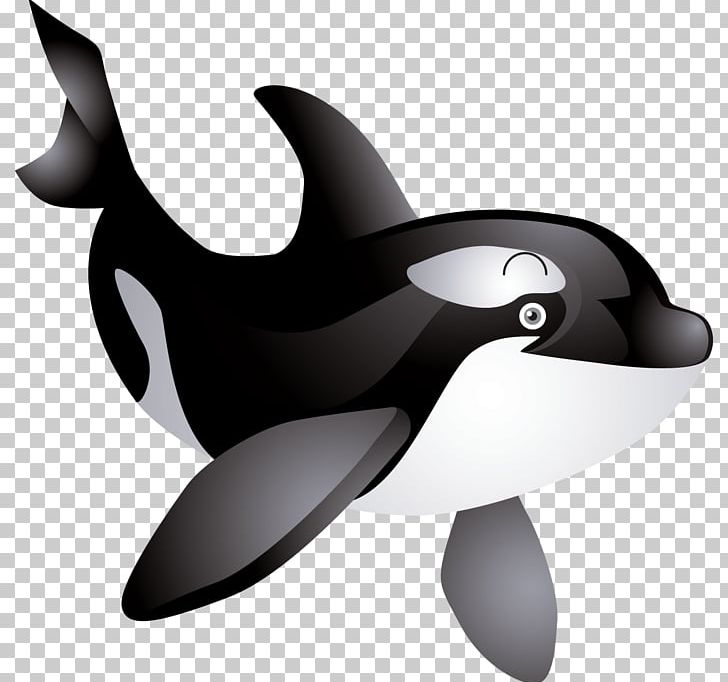 Whale PNG, Clipart, Whale Free PNG Download