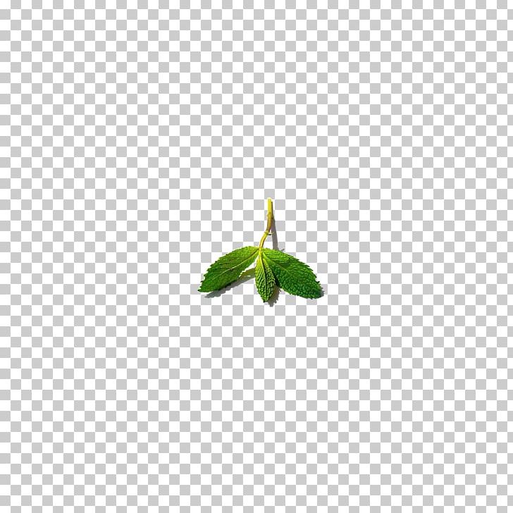 Green Leaf Pattern PNG, Clipart, Autumn Leaf, Green, Green Leaf, Leaf, Leaf And Petals Free PNG Download